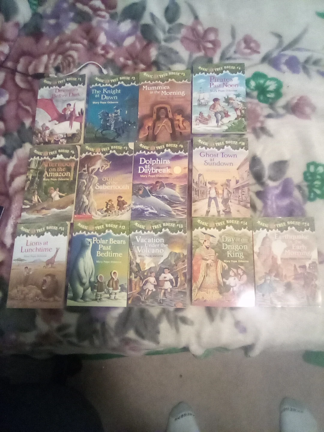 Magic Tree House Books (13)