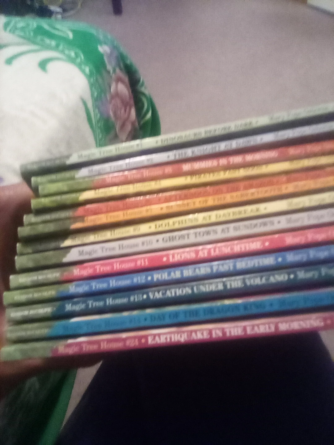 Magic Tree House Books (13) - photo 2