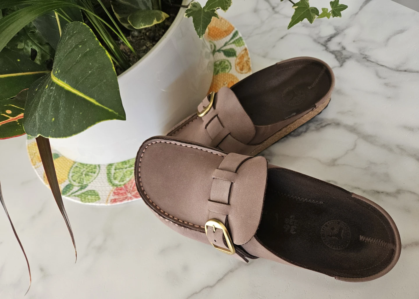 New 💜 Birkenstock Buckley