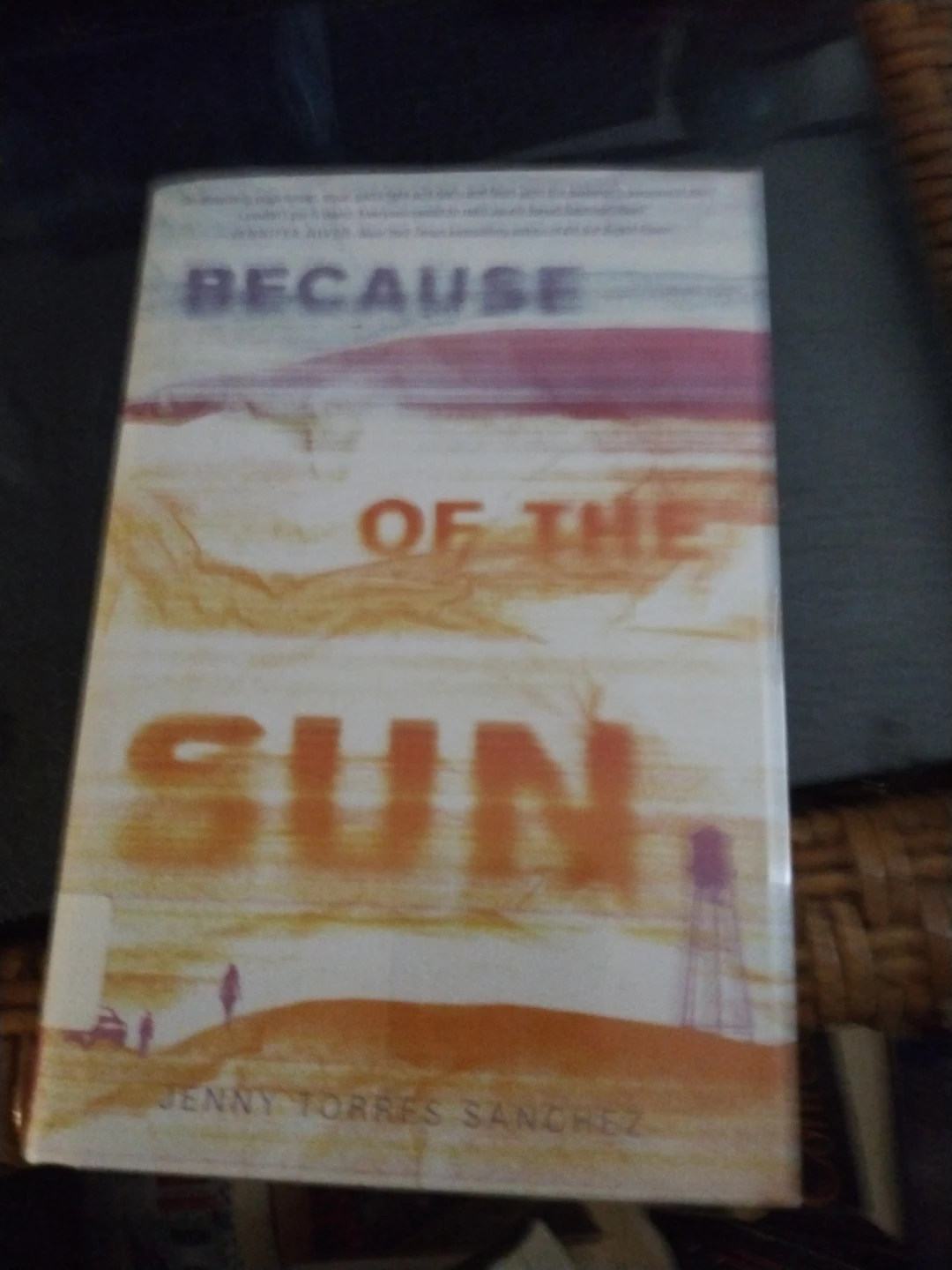 Because of the Sun by Jenny Torres Sanche