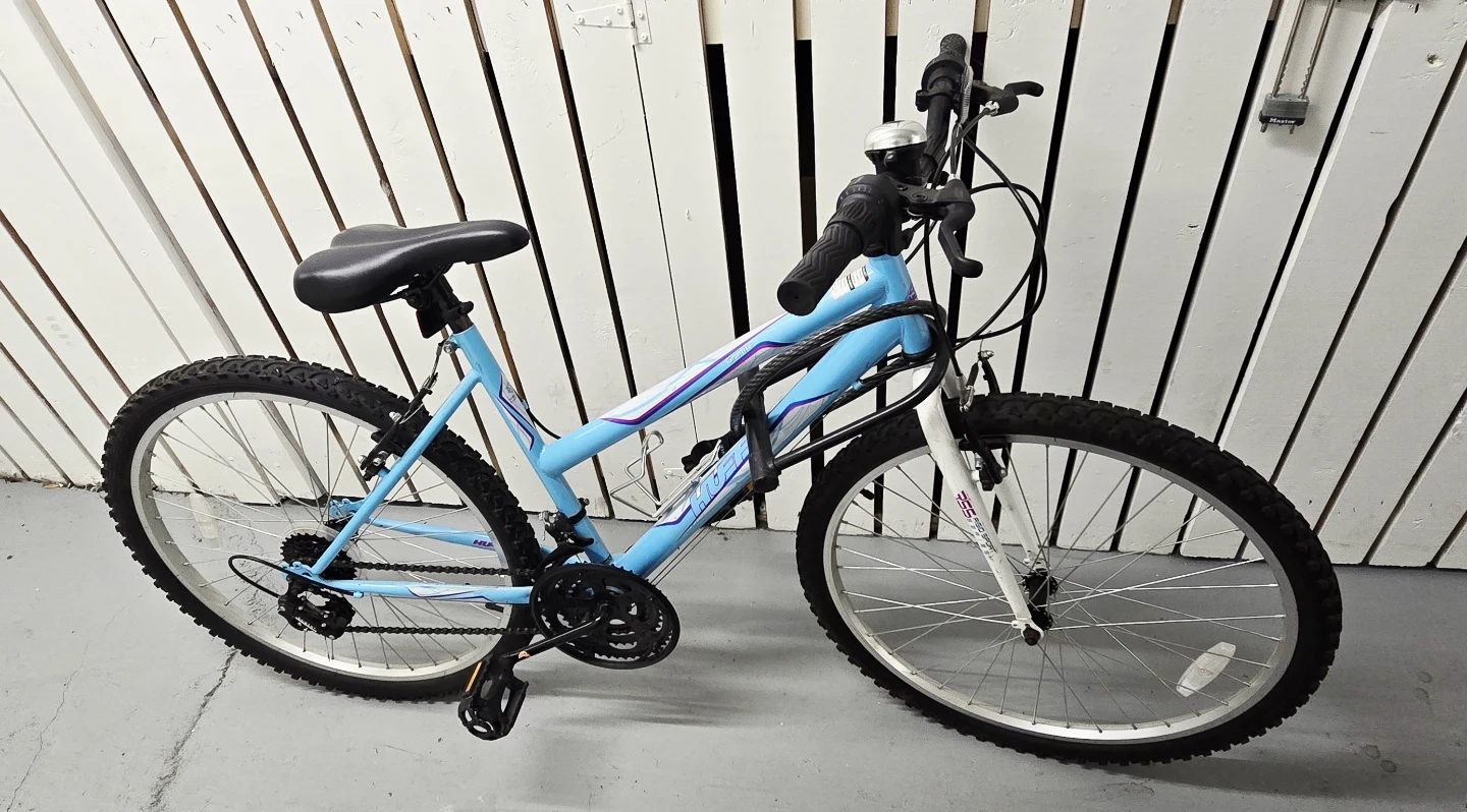 Blue Mountain Bike