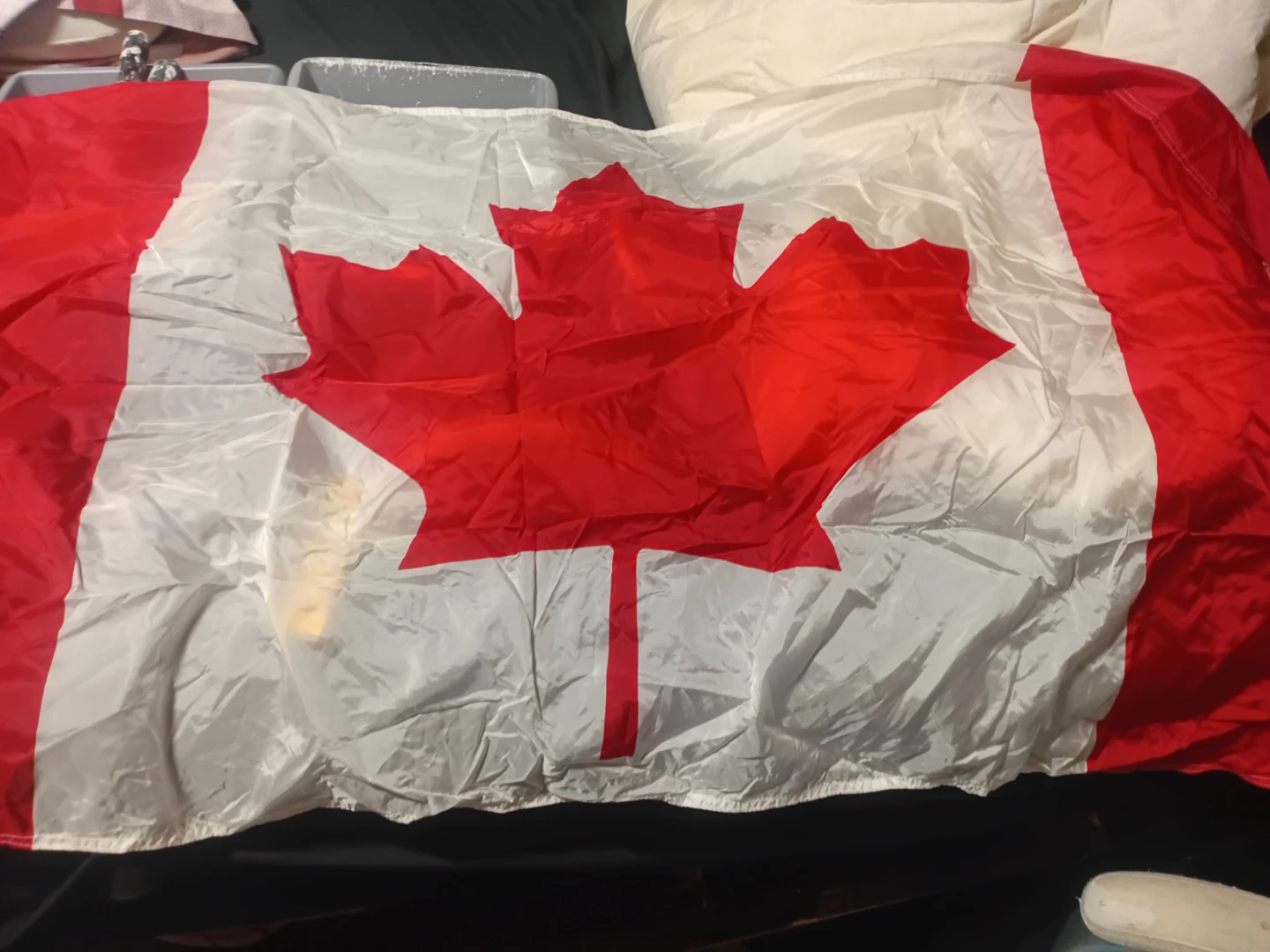 Canadian Flag - photo 2