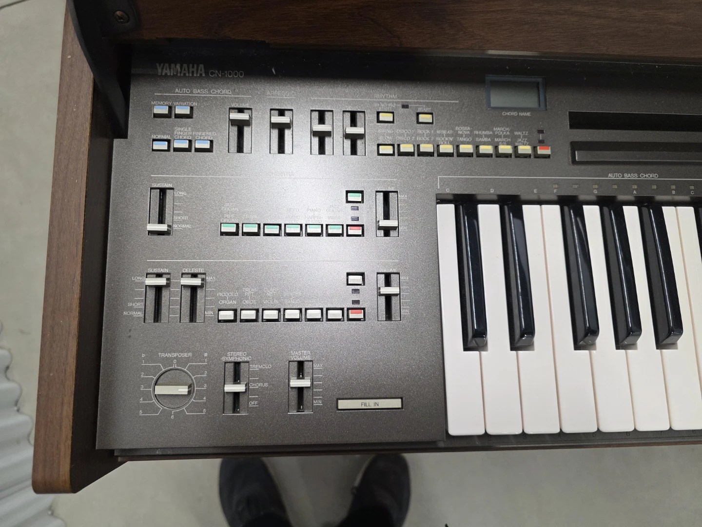 Yamaha Organ - photo 3