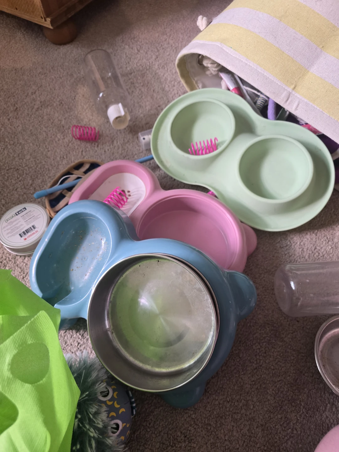 Miscellaneous Cat Stuff