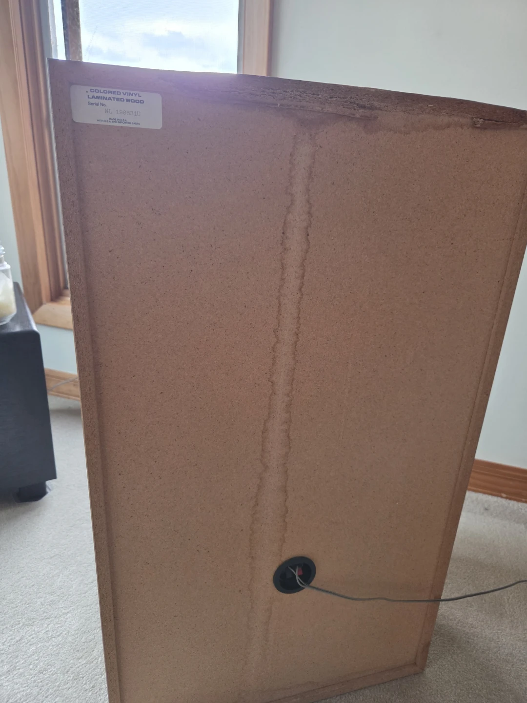 Pioneer Speaker - photo 3