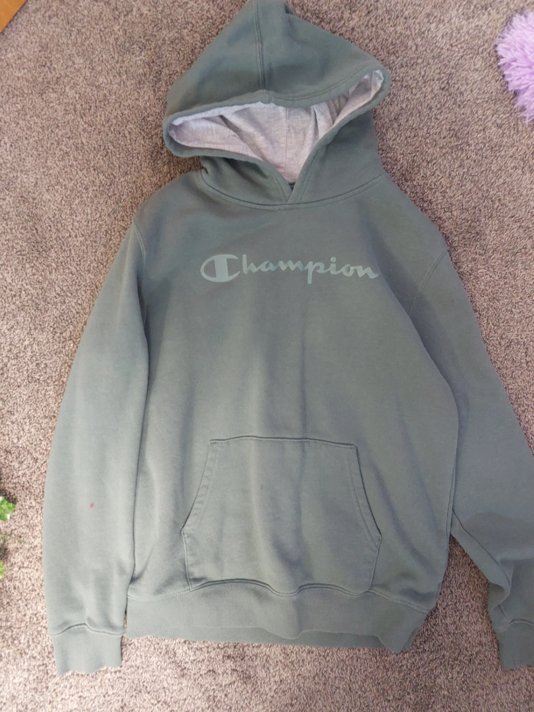 Green champion hoodie