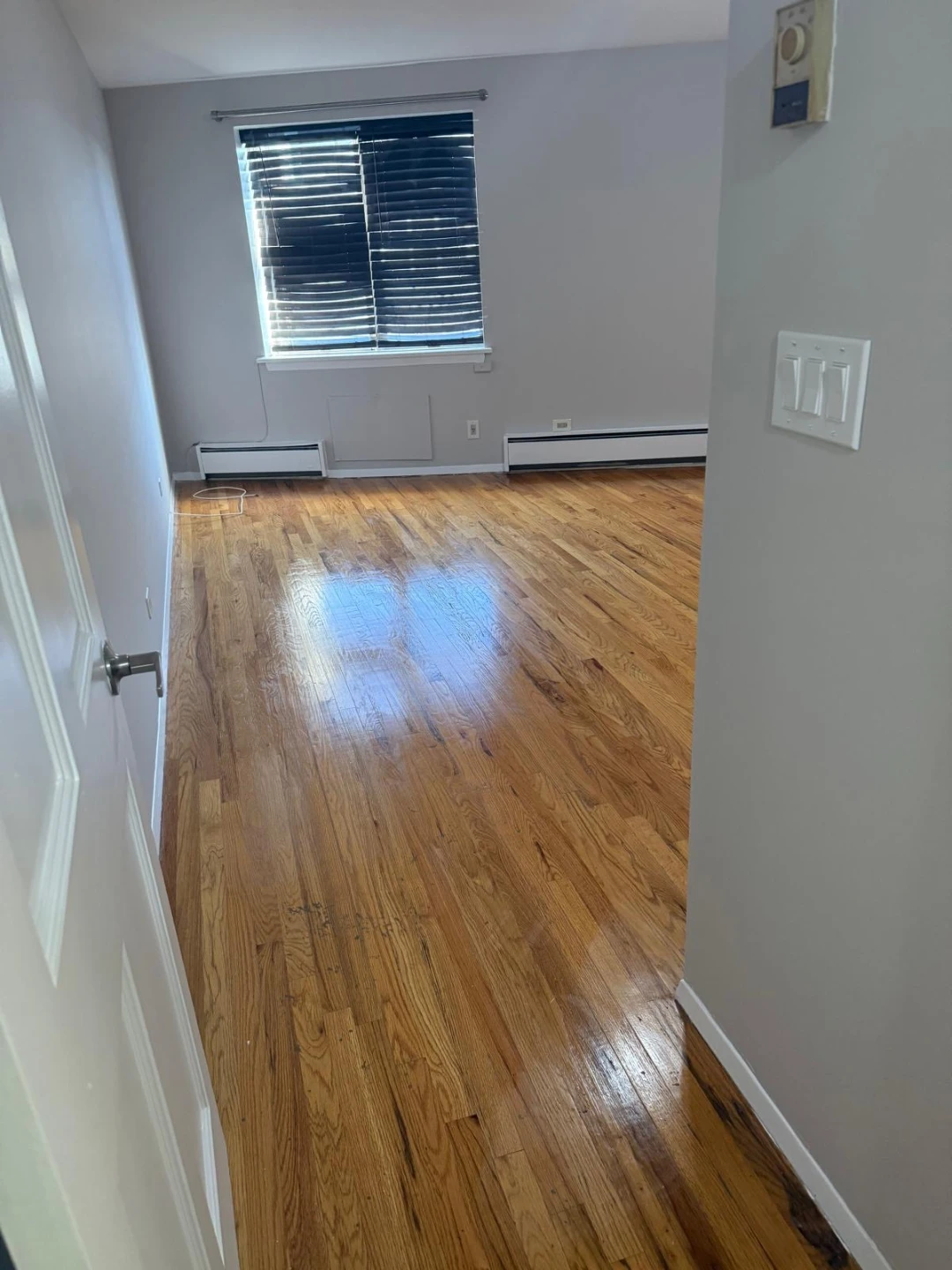 Bright & Fresh 1-Bedroom Apartment – Maspeth, Queens, 2nd Floor” - photo 3