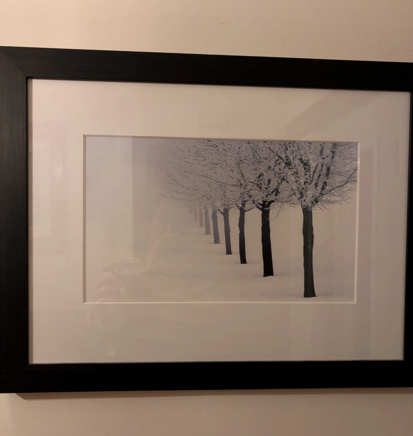 Framed Winter Tree Line & Foggy Park Pathway Art Prints - photo 2