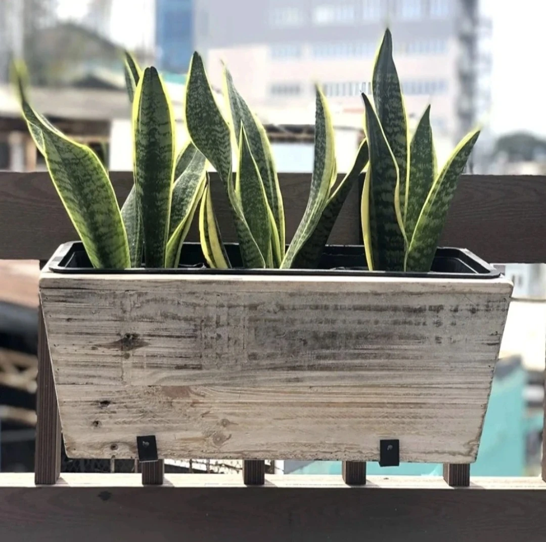 Hanging Planter Boxes - photo 2