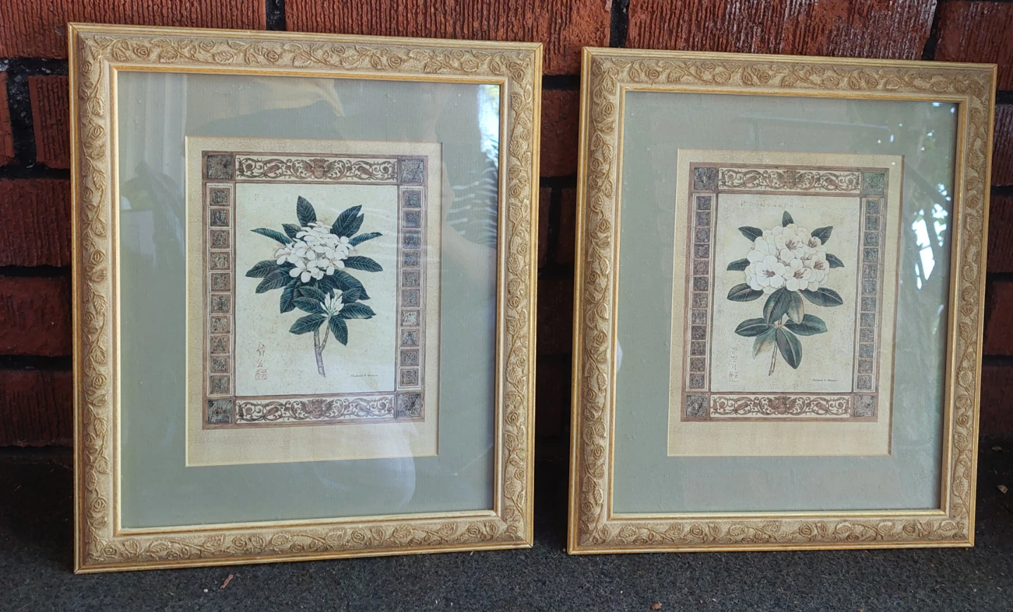 Set of 2 Framed Botanical Prints