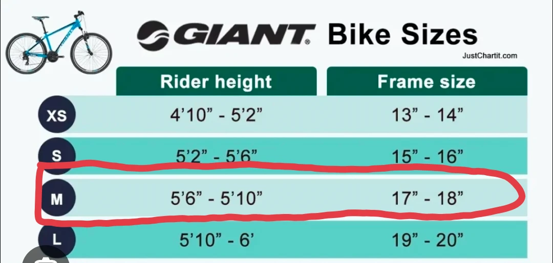 Giant Mountain Bicycle - Size M - photo 5
