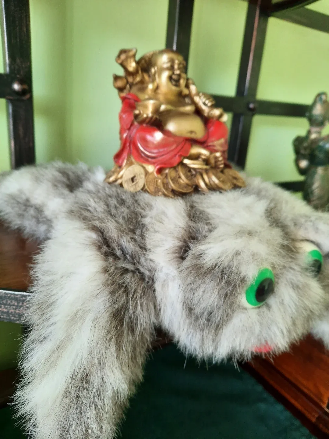 Laughing Buddha Statue on Coins, all for $15 - photo 4