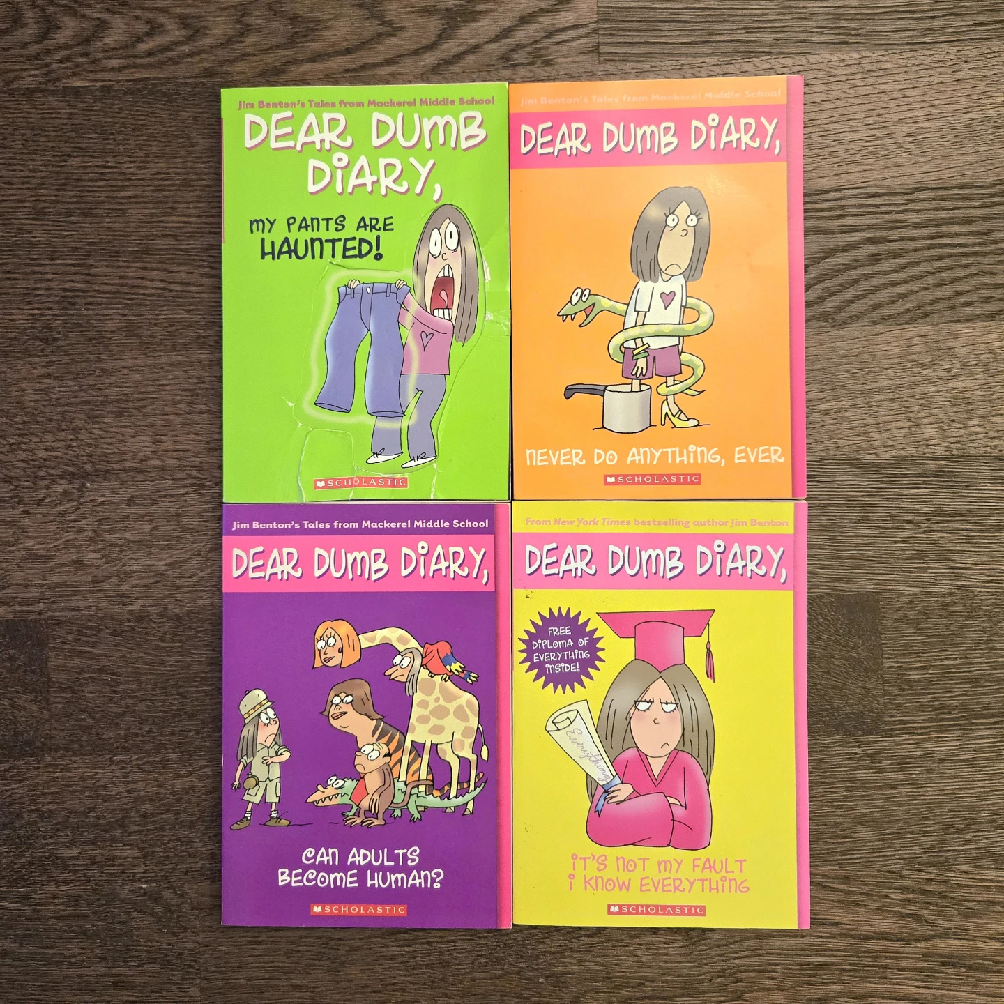 Dear Dumb Diary Chapter Books - 4 Books