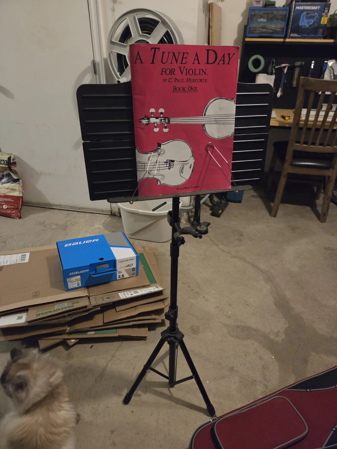 Violin Outfit with Case, Bow, Rosin, and Music Stand - photo 3