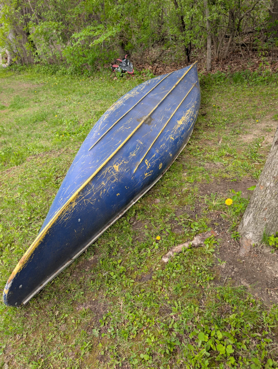 Blue Canoe with Paddles