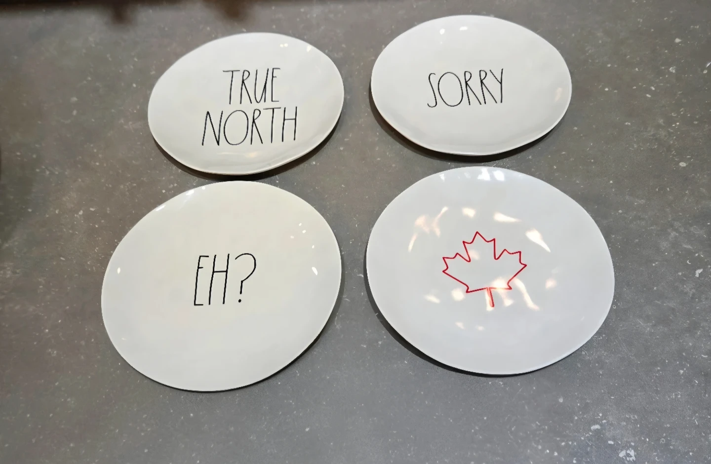 🇨🇦RARE Rae Dunn "True North"  Canadian Theme Dish Set - photo 3