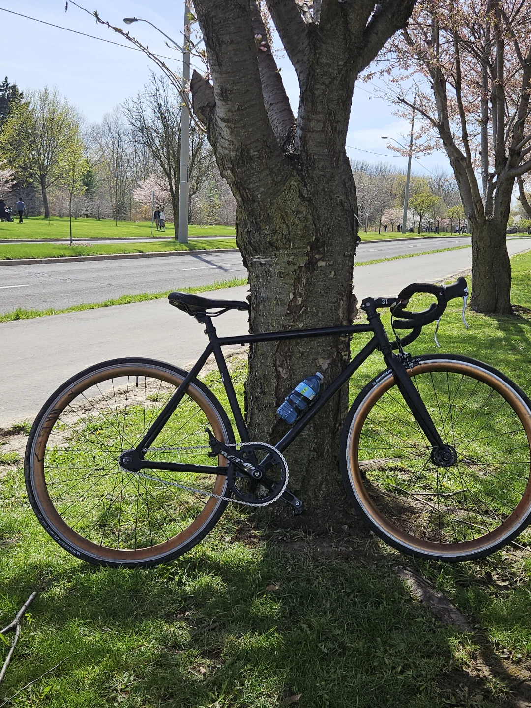 Black Fixie Bike with Wood-Coloured Rims - photo 2
