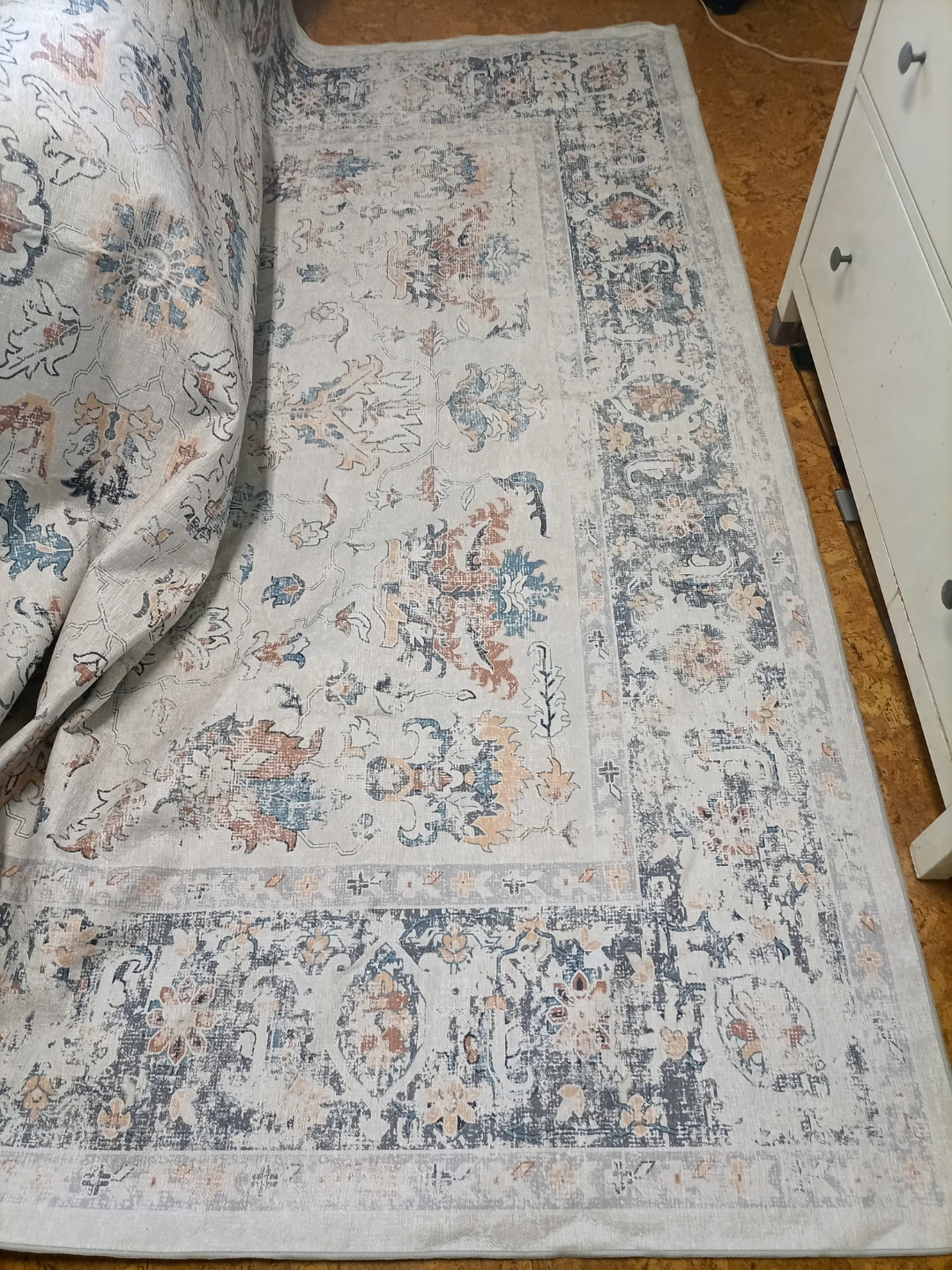 Indoor Area Rug