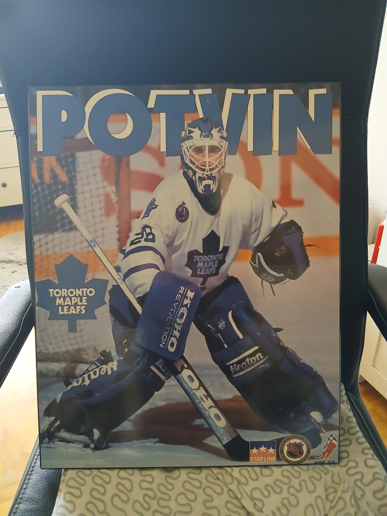 Toronto Maple Leafs Vintage potvin goalie frame