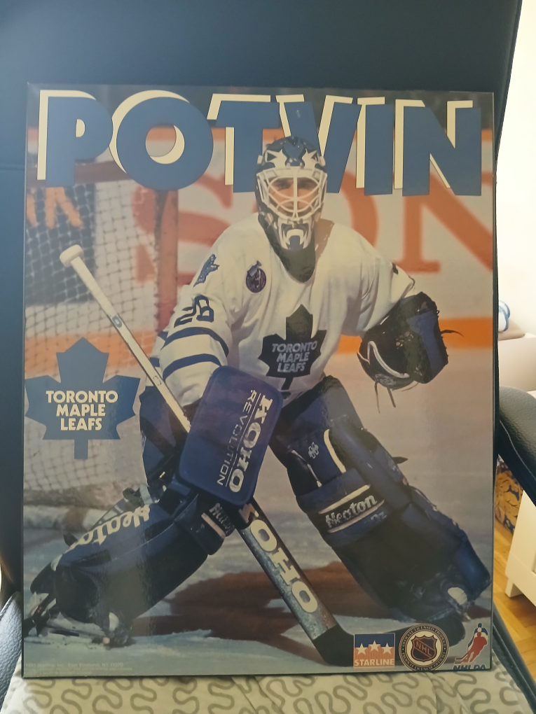 Toronto Maple Leafs Vintage potvin goalie frame - photo 2