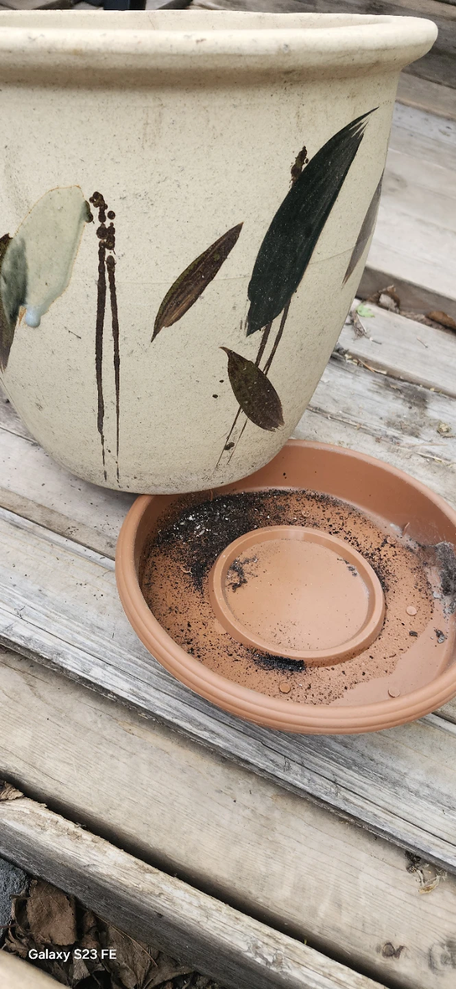 Ceramic Planter Pot with Saucer - photo 4