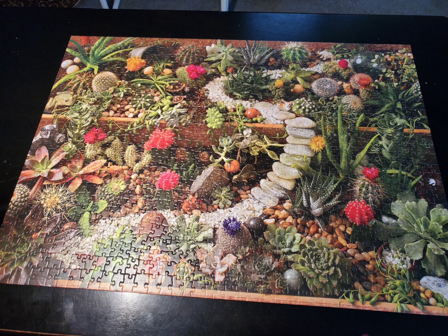 Cobble Hill Succulent Garden Puzzle - 1000+ Pieces - photo 2