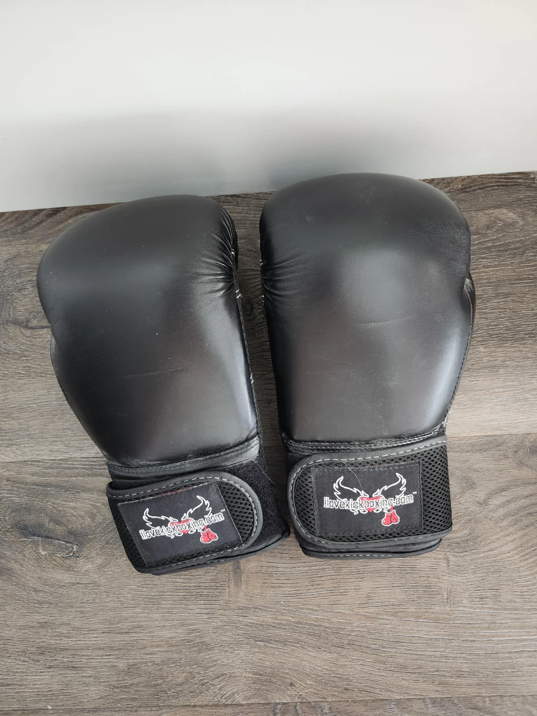 Century Kickboxing Gloves
