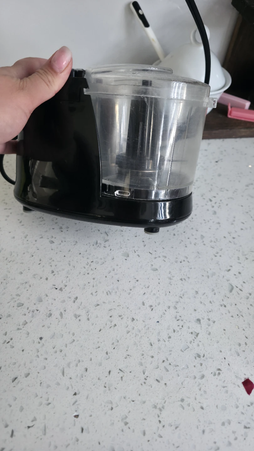 Pulsation Mini Food Chopper - photo 4