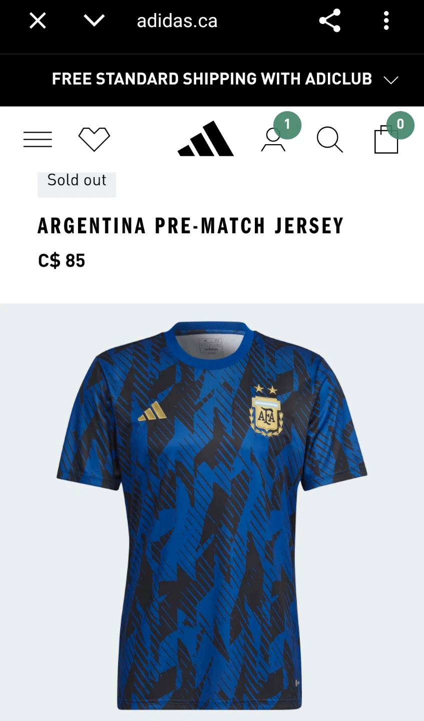 Argentina Soccer Jersey (M) - photo 2