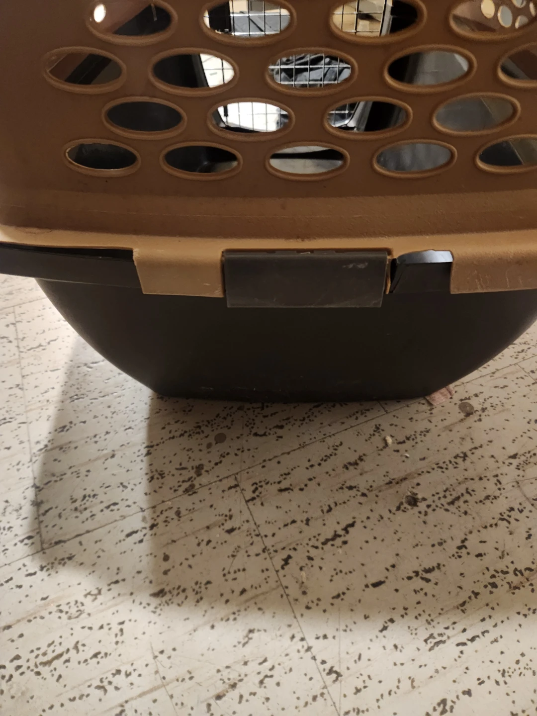 Petmate Pet Carrier