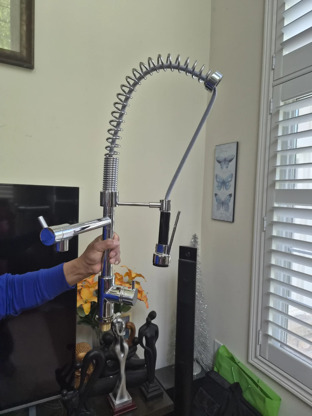 Chrome Coil Kitchen Faucet with Pull-Down Sprayer - photo 2