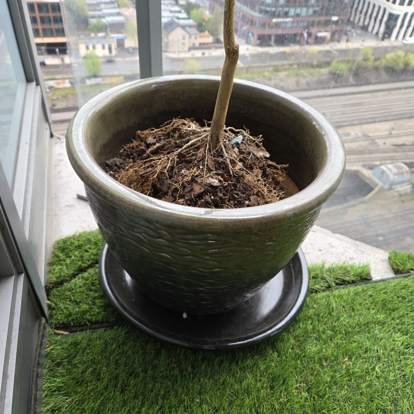 Ceramic pot - photo 2