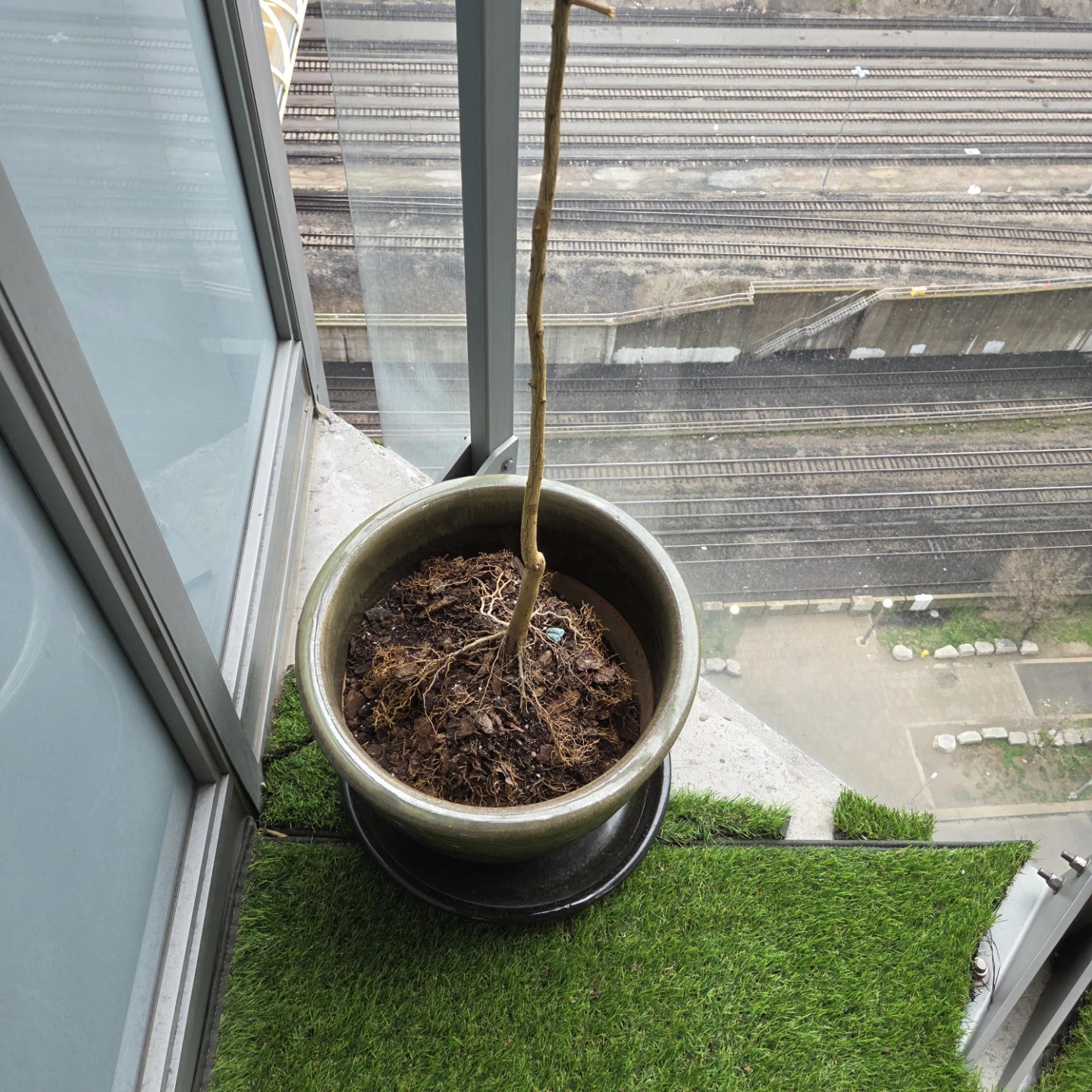 Ceramic pot - photo 3