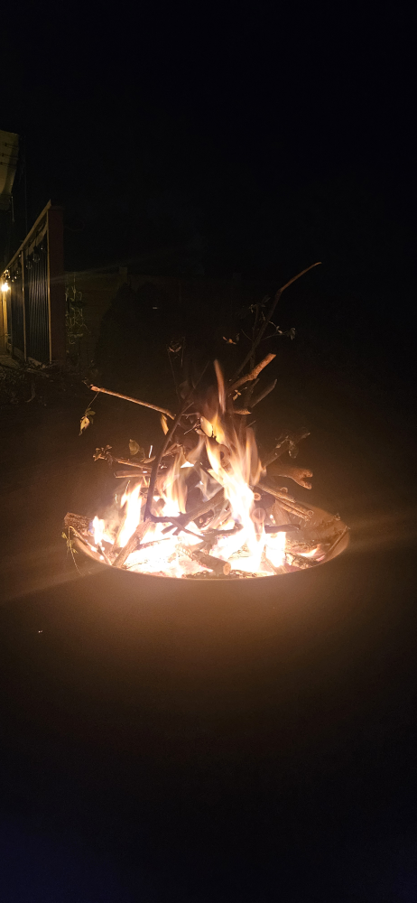 Firewood for sale - photo 3