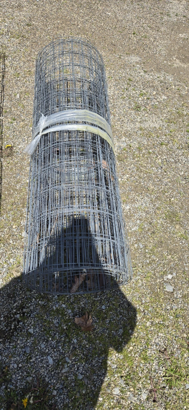 Wire Mesh Roll