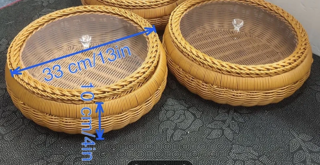 Woven Trays with plastic Glass Lids (Set of 2)