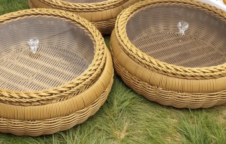 Woven Trays with plastic Glass Lids (Set of 2) - photo 2