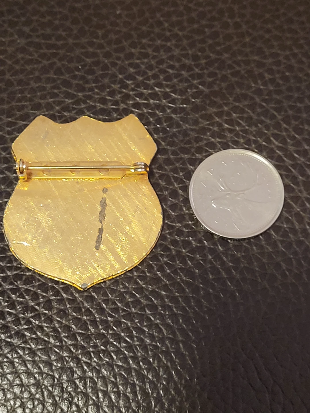Novelty "Licensed To Nag" Badge - photo 2