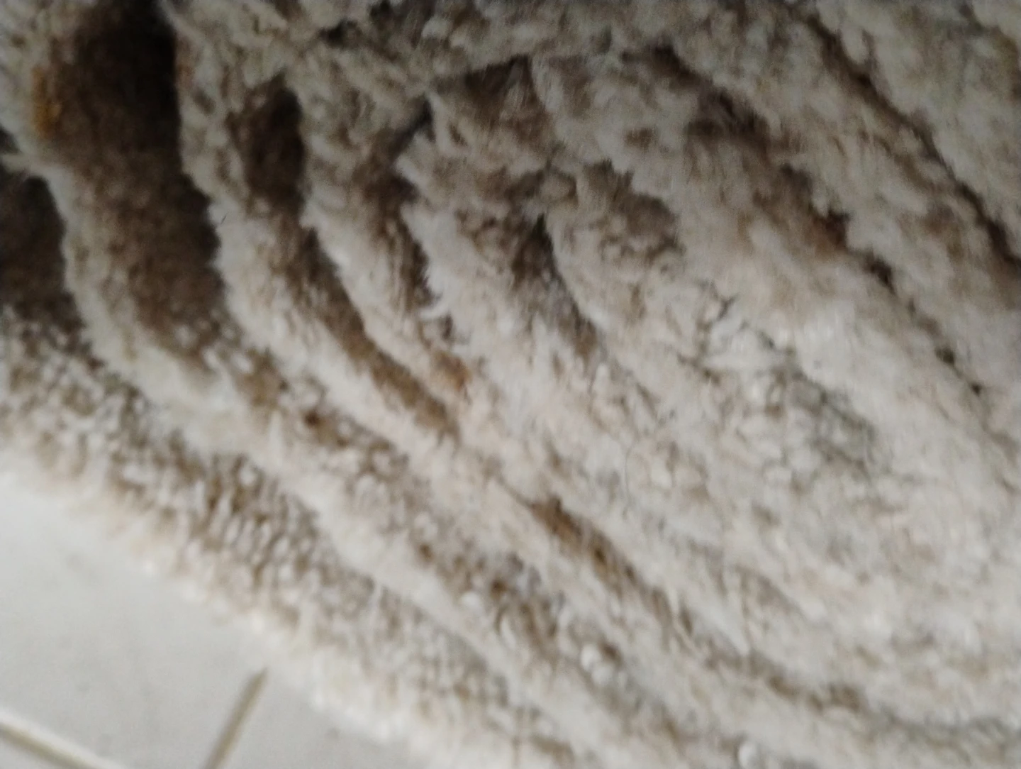 Beige Carpet Remnant - photo 2