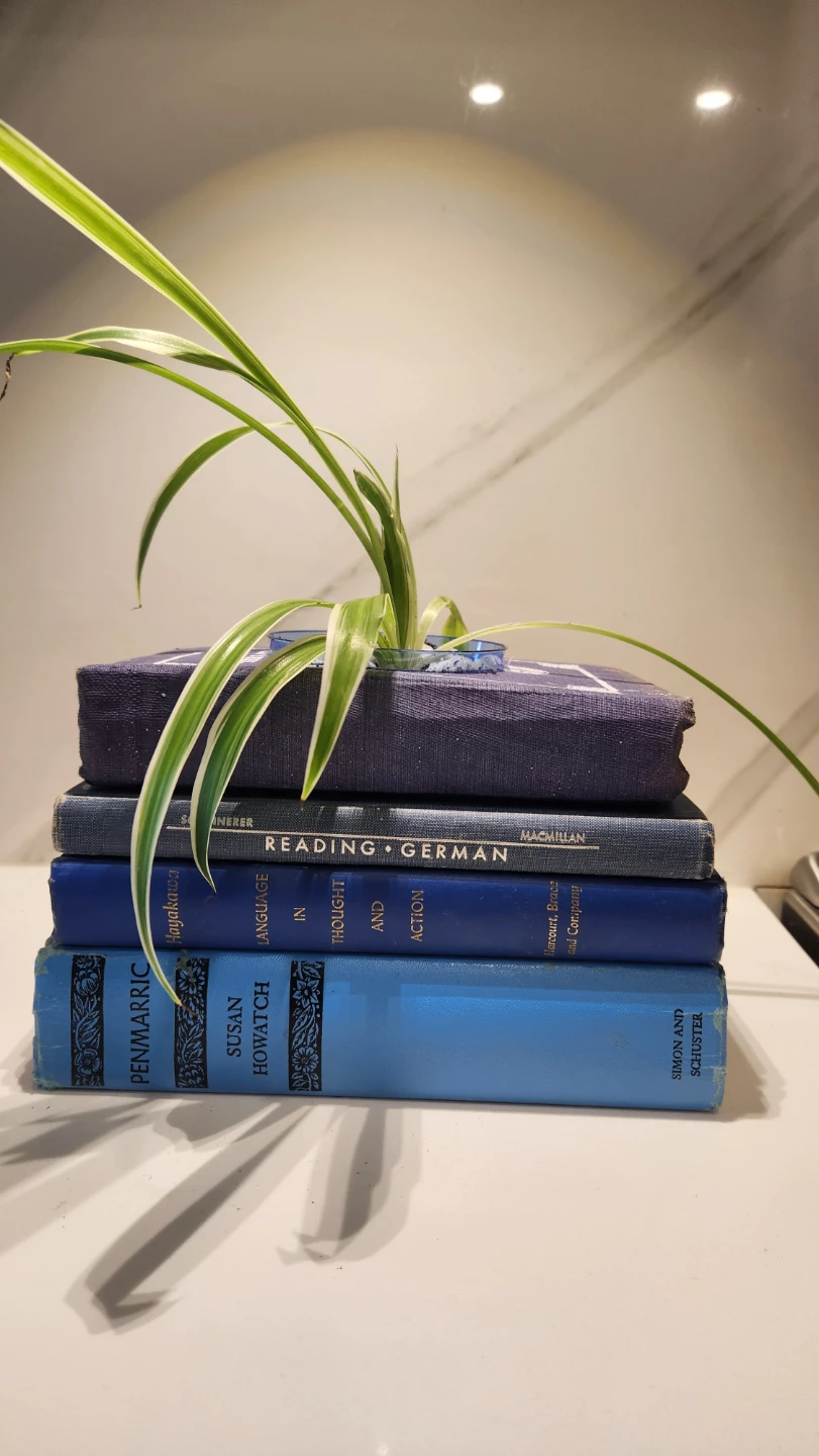 Shades of blue vintage books planter with plant