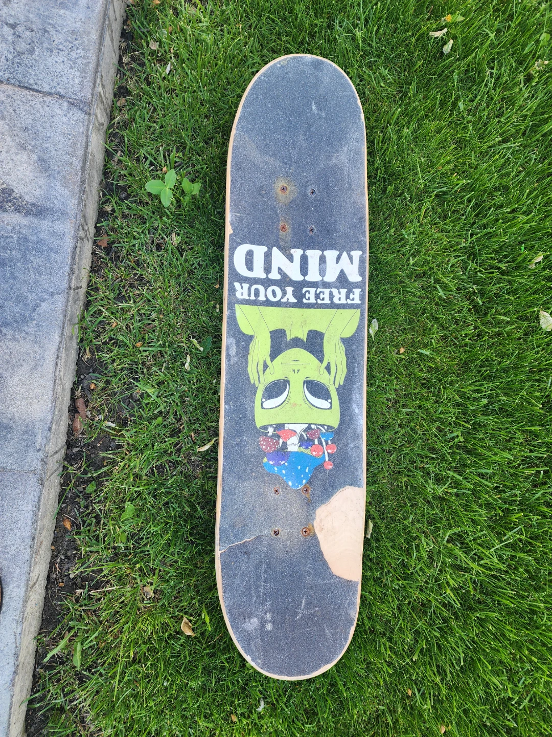 Skateboard - photo 2