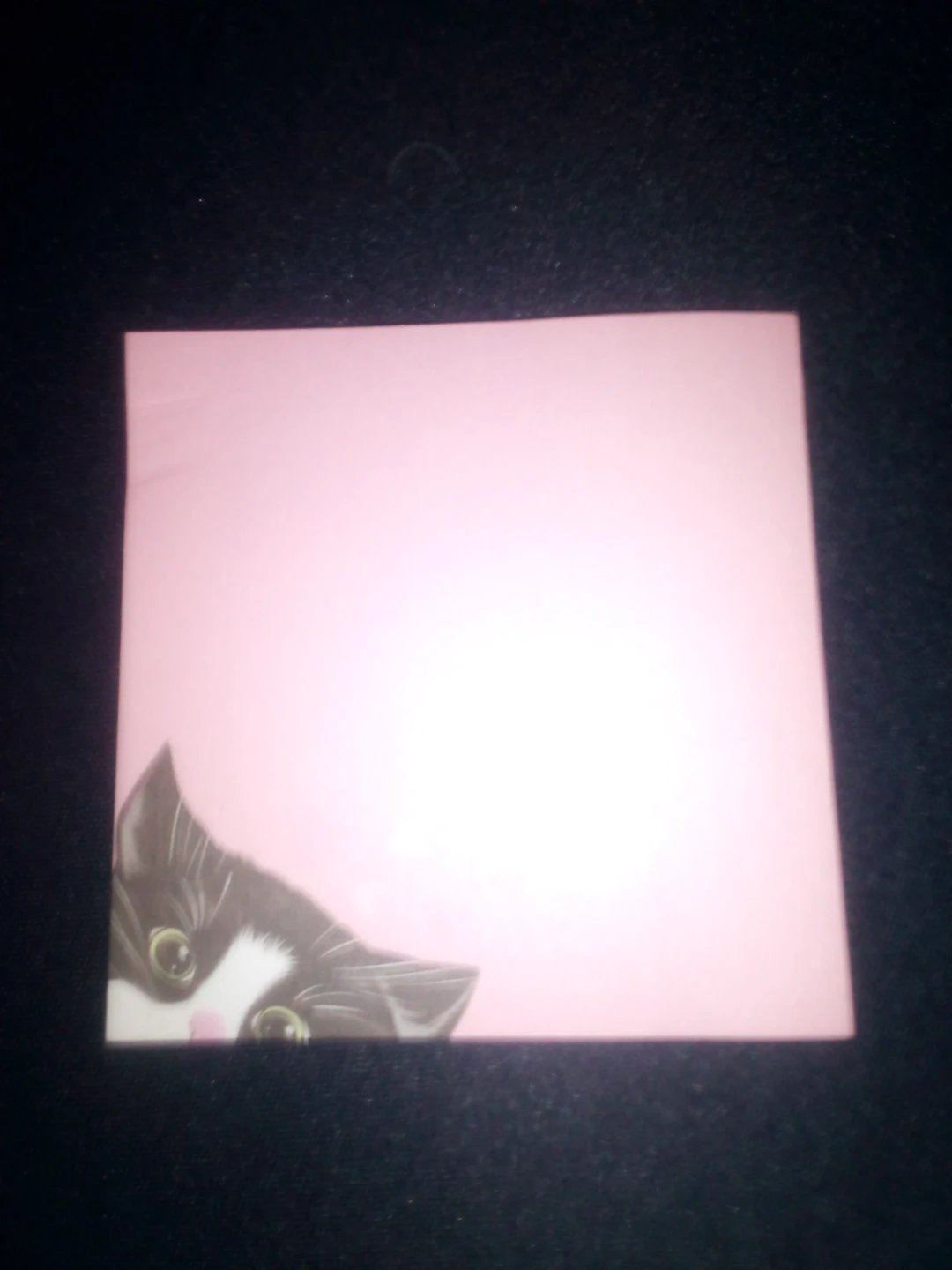 Cute Cat Pink Sticky Notes