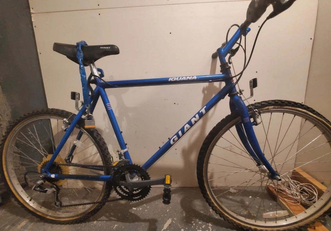 Giant Iguana Classic Cro-Moly Mountain Bike