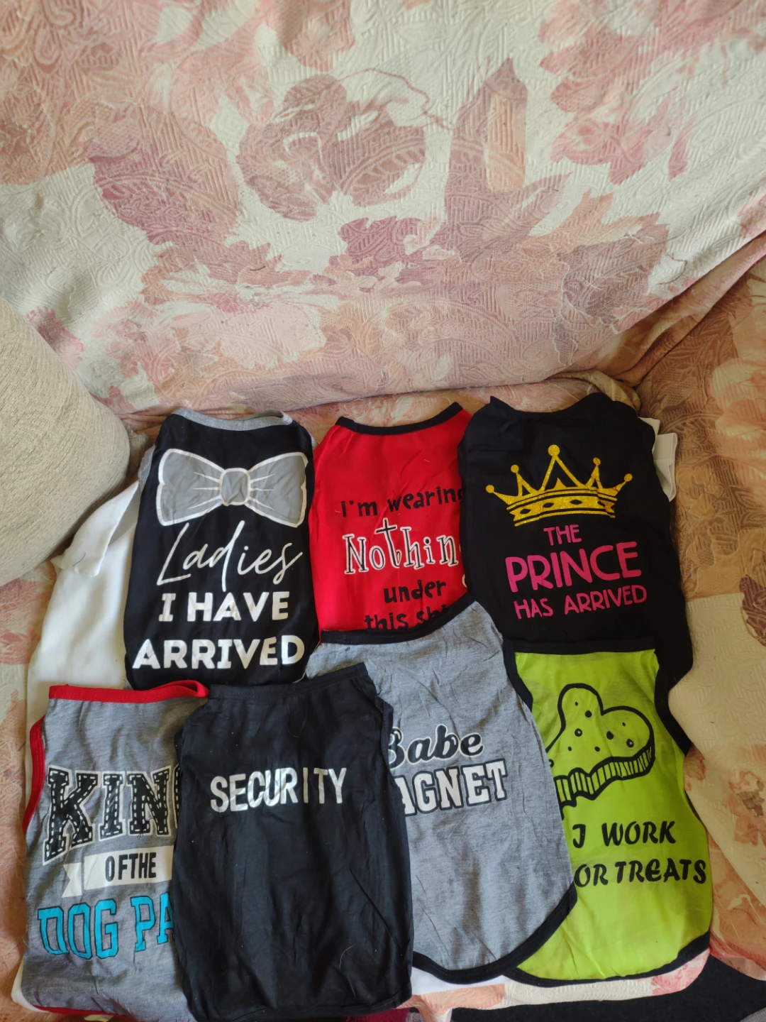 Medium size pet clothes