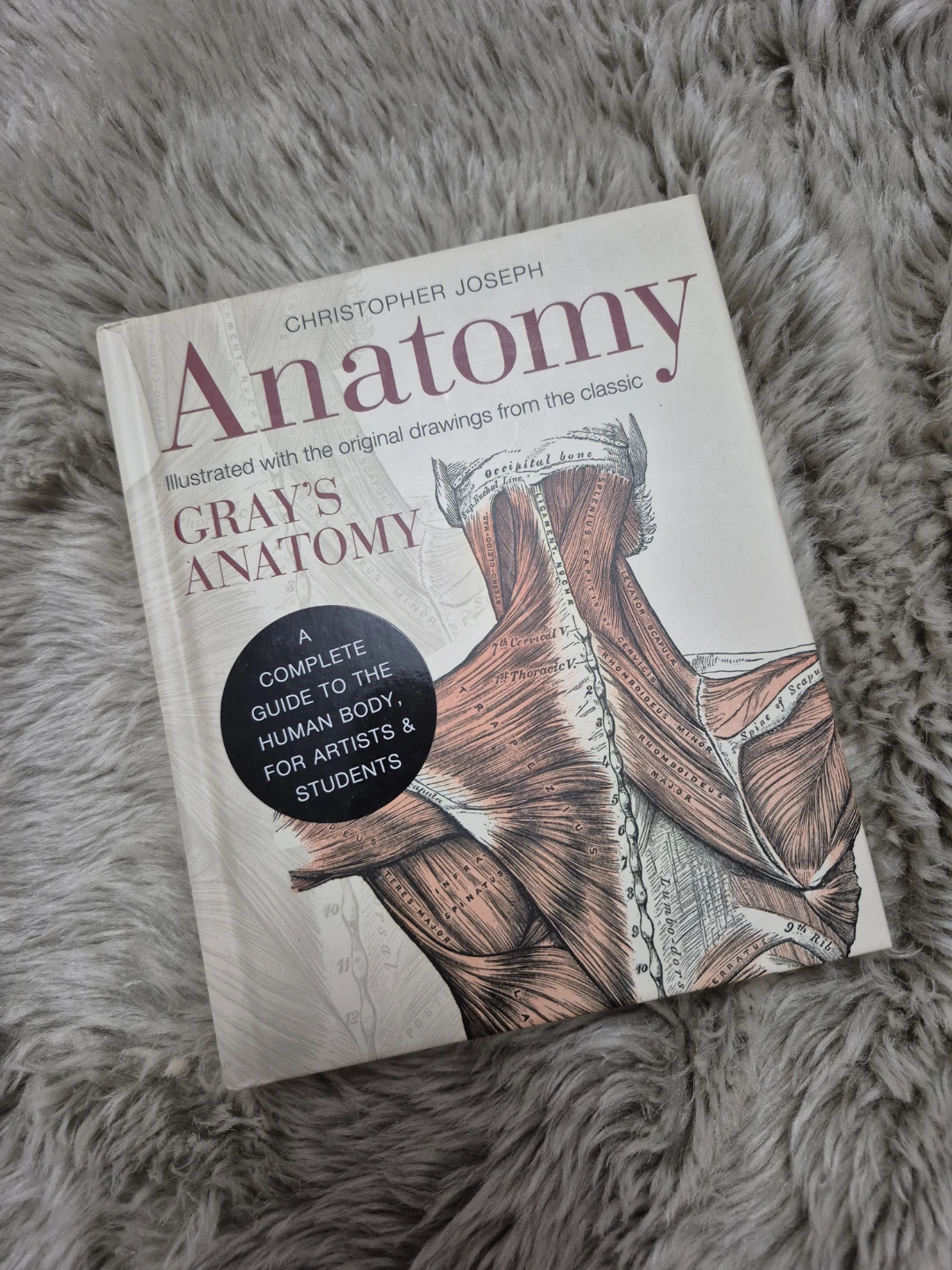 Anatomy: Gray's Anatomy Complete Guide for Artists & Students - photo 4