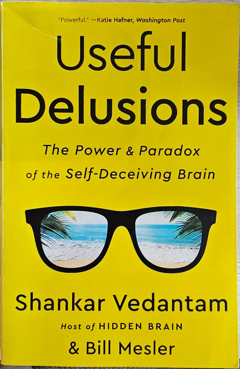 Book: Useful Delusions