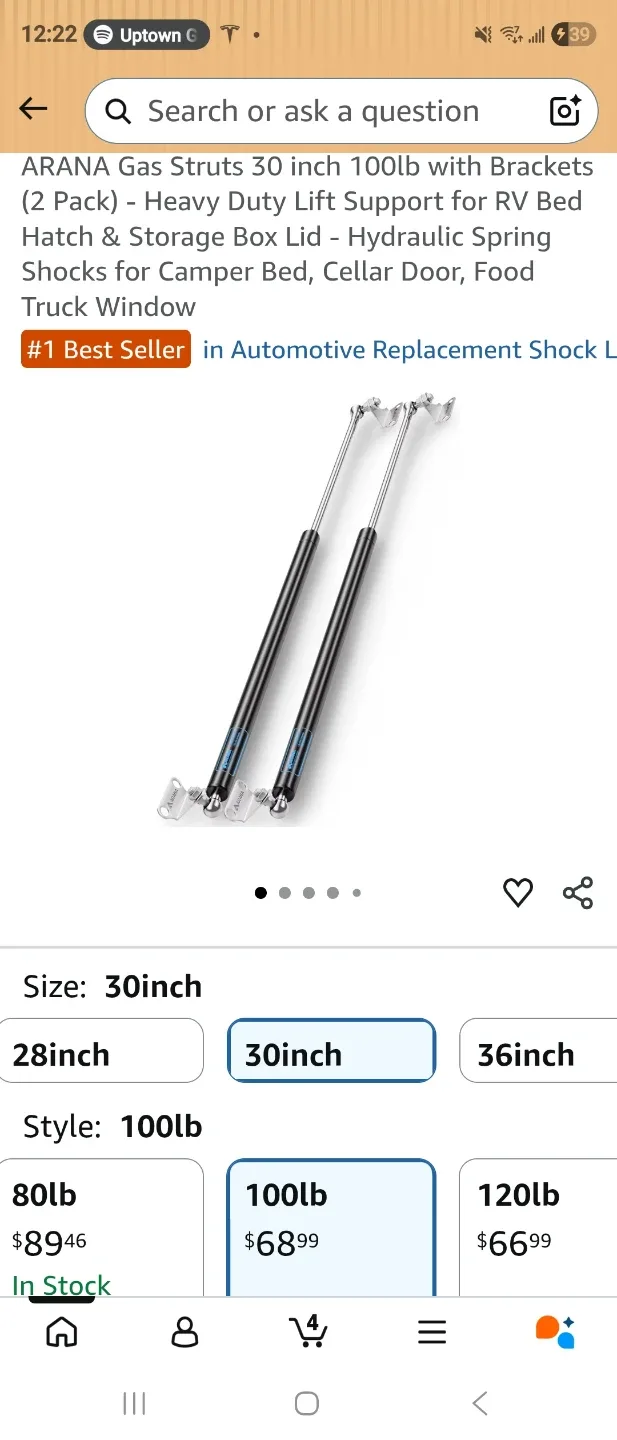 ARANA 30 inch 100lb Gas Struts with Brackets (2 Pack)