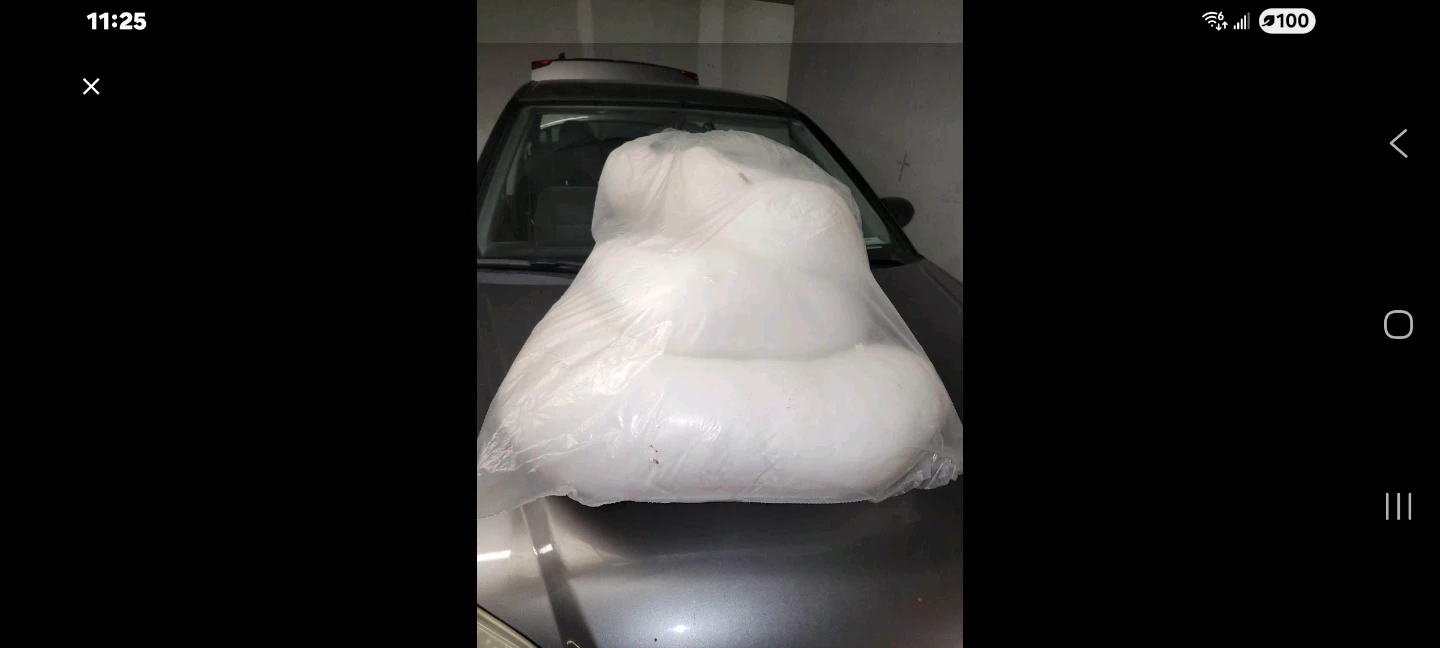 Pregnancy Pillow