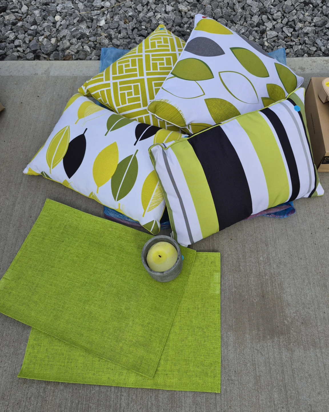 Outdoor Cushion and Placemat Set