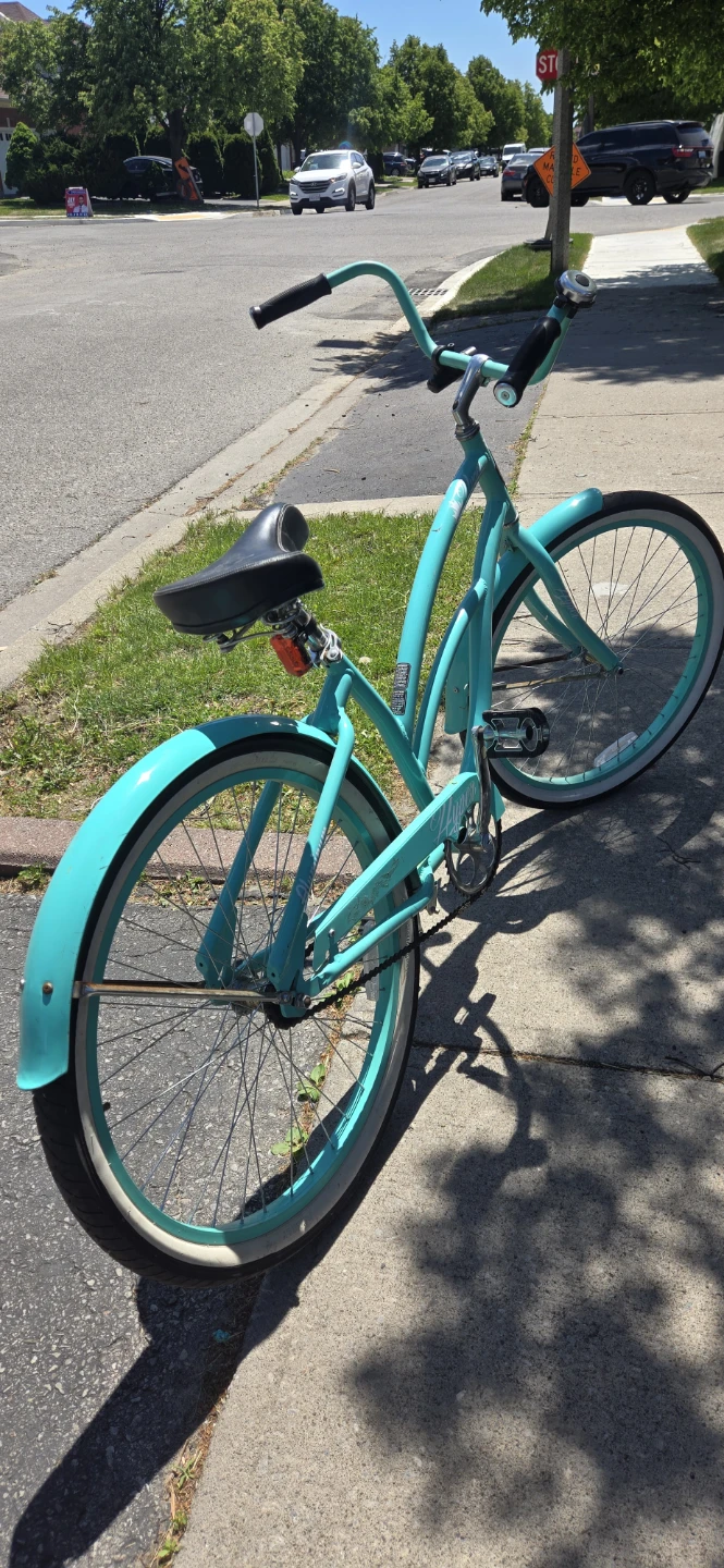 Bike - photo 3